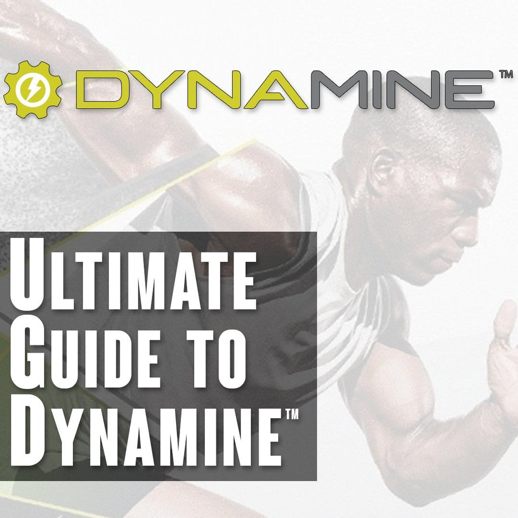 The Ultimate Guide to Dynamine